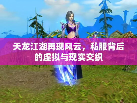 天龙江湖再现风云，私服背后的虚拟与现实交织