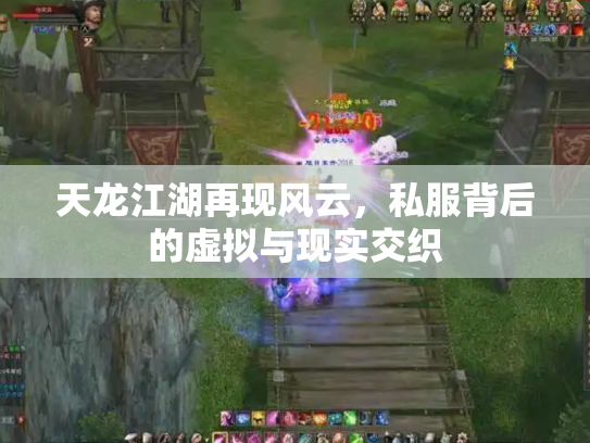 天龙江湖再现风云，私服背后的虚拟与现实交织