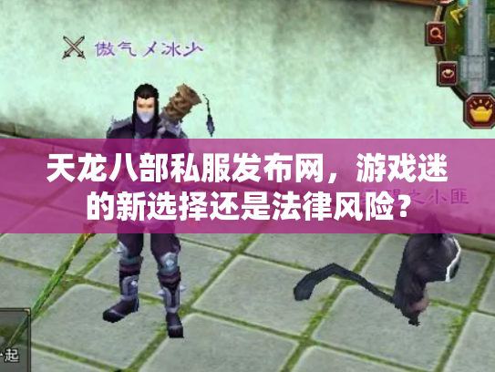 天龙八部私服发布网，游戏迷的新选择还是法律风险？