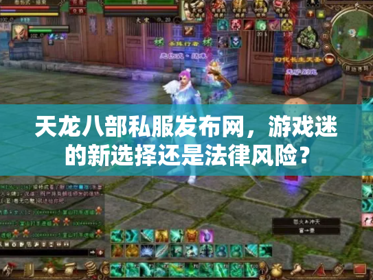 天龙八部私服发布网，游戏迷的新选择还是法律风险？