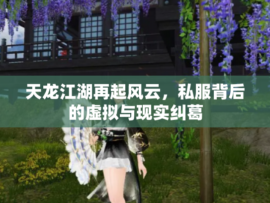 天龙江湖再起风云，私服背后的虚拟与现实纠葛