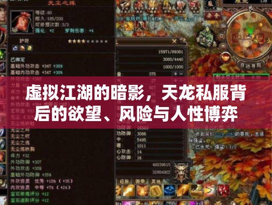 虚拟江湖的暗影，天龙私服背后的欲望、风险与人性博弈