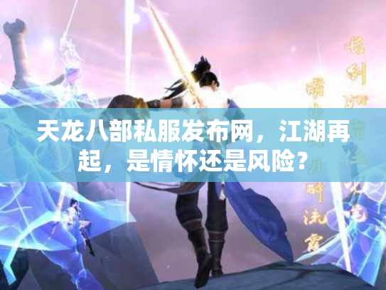 天龙八部私服发布网，江湖再起，是情怀还是风险？