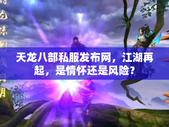 天龙八部私服发布网，江湖再起，是情怀还是风险？