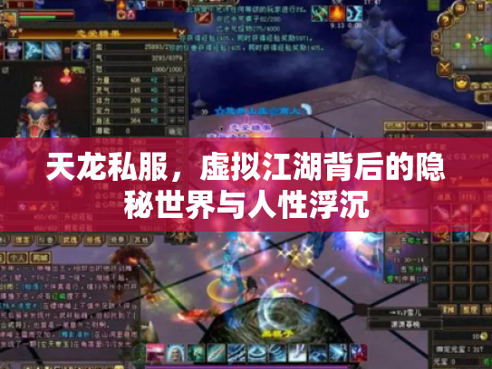 天龙私服，虚拟江湖背后的隐秘世界与人性浮沉
