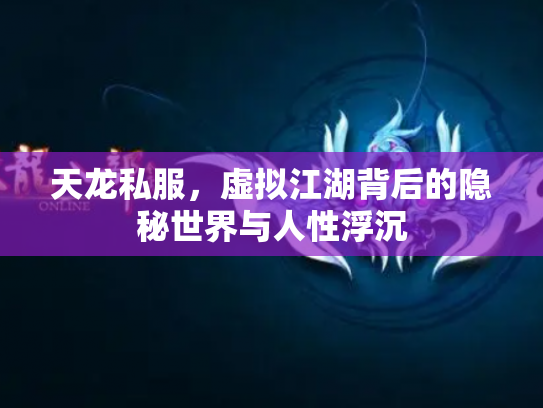 天龙私服，虚拟江湖背后的隐秘世界与人性浮沉