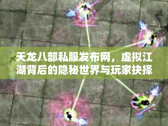 天龙八部私服发布网，虚拟江湖背后的隐秘世界与玩家抉择