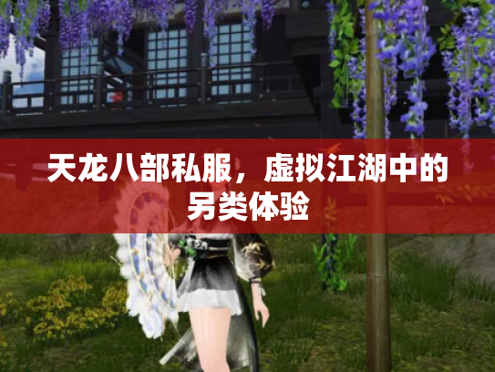 天龙八部私服，虚拟江湖中的另类体验