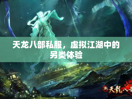 天龙八部私服，虚拟江湖中的另类体验