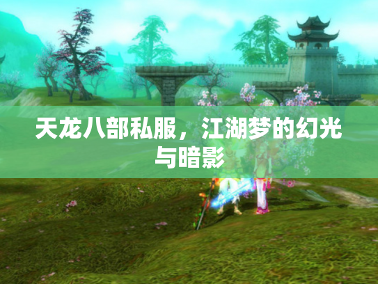 天龙八部私服，江湖梦的幻光与暗影