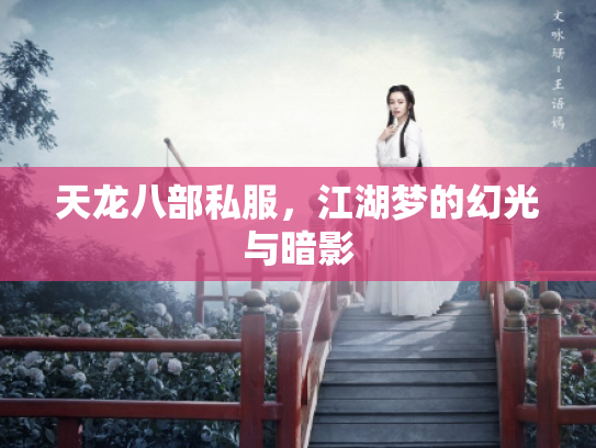 天龙八部私服，江湖梦的幻光与暗影