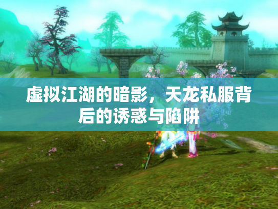 虚拟江湖的暗影，天龙私服背后的诱惑与陷阱