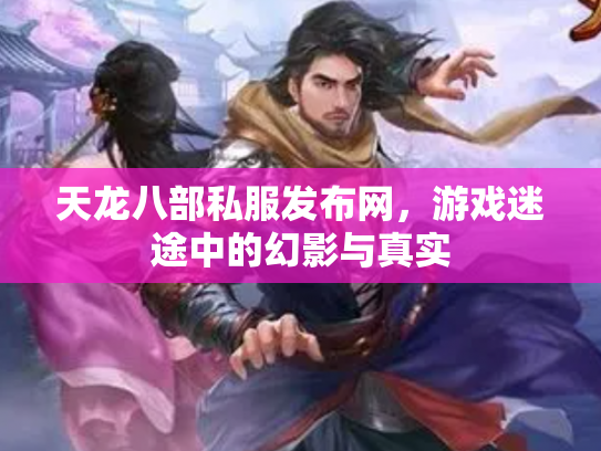 天龙八部私服发布网，游戏迷途中的幻影与真实