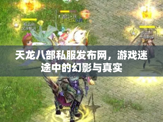 天龙八部私服发布网，游戏迷途中的幻影与真实