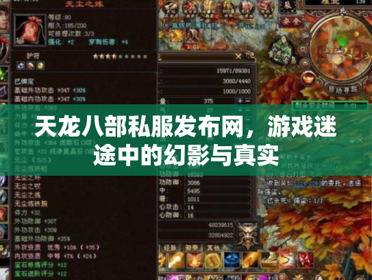 天龙八部私服发布网，游戏迷途中的幻影与真实