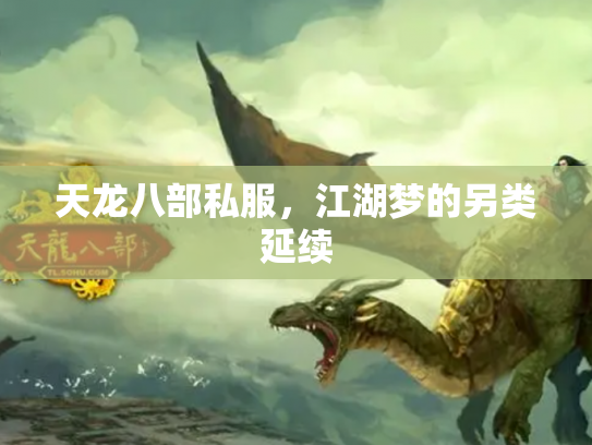 天龙八部私服，江湖梦的另类延续
