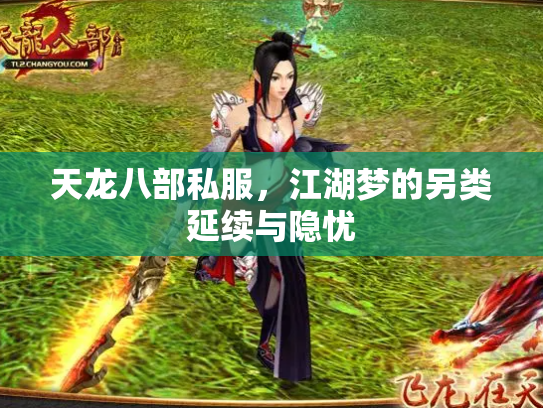 天龙八部私服，江湖梦的另类延续与隐忧