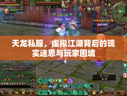 天龙私服，虚拟江湖背后的现实迷思与玩家困境