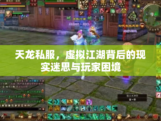 天龙私服，虚拟江湖背后的现实迷思与玩家困境
