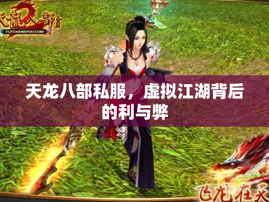 天龙八部私服，虚拟江湖背后的利与弊