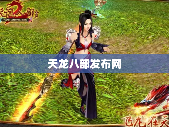 天龙八部发布网