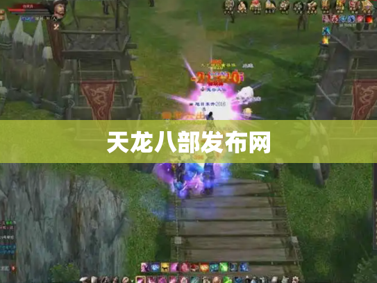天龙八部发布网