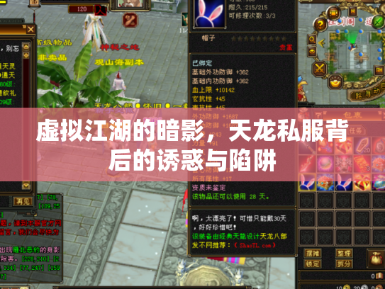 虚拟江湖的暗影，天龙私服背后的诱惑与陷阱