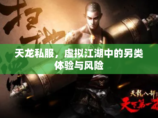 天龙私服，虚拟江湖中的另类体验与风险