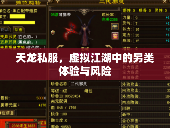 天龙私服，虚拟江湖中的另类体验与风险
