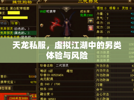 天龙私服，虚拟江湖中的另类体验与风险