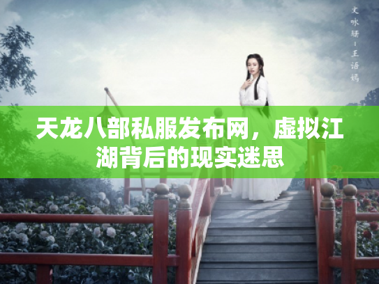 天龙八部私服发布网，虚拟江湖背后的现实迷思