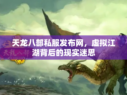 天龙八部私服发布网，虚拟江湖背后的现实迷思