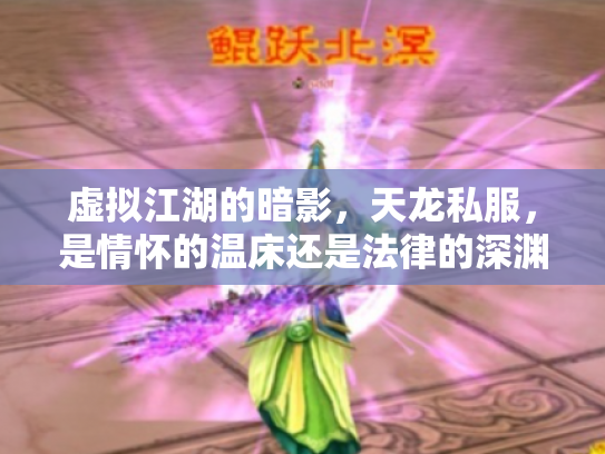 虚拟江湖的暗影，天龙私服，是情怀的温床还是法律的深渊？