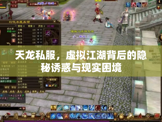 天龙私服，虚拟江湖背后的隐秘诱惑与现实困境
