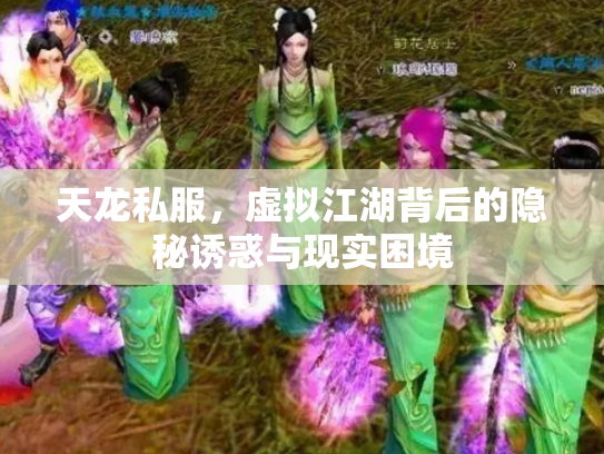 天龙私服，虚拟江湖背后的隐秘诱惑与现实困境