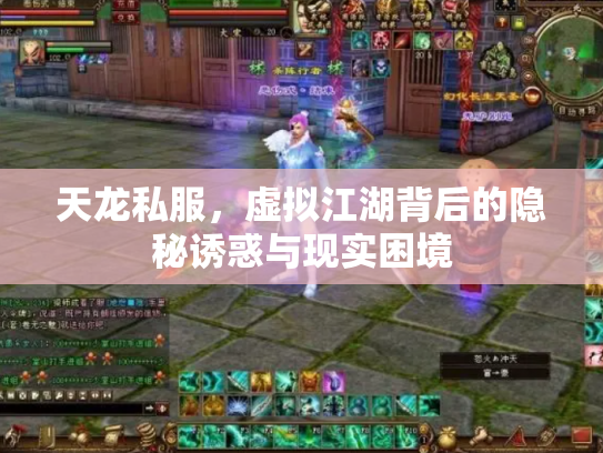 天龙私服，虚拟江湖背后的隐秘诱惑与现实困境
