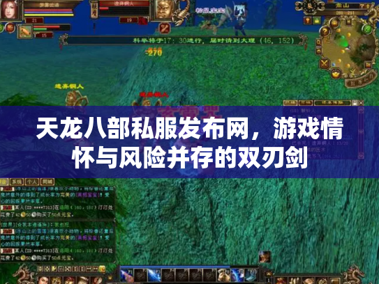 天龙八部私服发布网，游戏情怀与风险并存的双刃剑