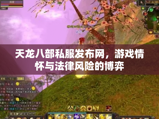 天龙八部私服发布网，游戏情怀与法律风险的博弈