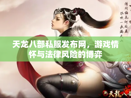 天龙八部私服发布网，游戏情怀与法律风险的博弈