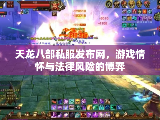 天龙八部私服发布网，游戏情怀与法律风险的博弈