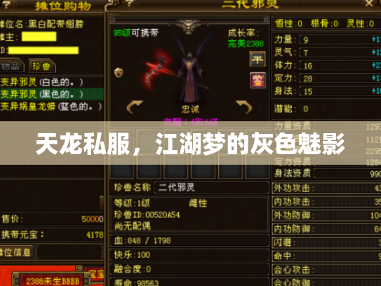 天龙私服，江湖梦的灰色魅影