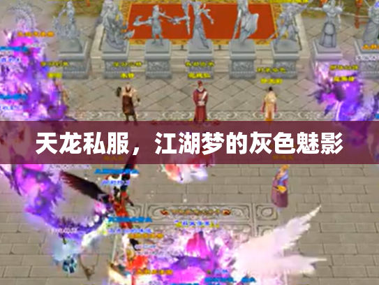 天龙私服，江湖梦的灰色魅影