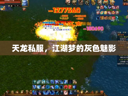 天龙私服，江湖梦的灰色魅影