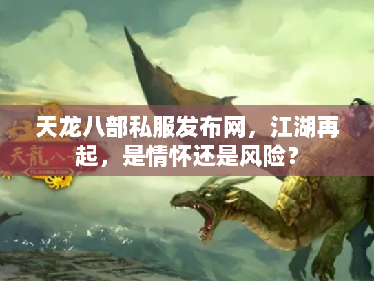 天龙八部私服发布网，江湖再起，是情怀还是风险？