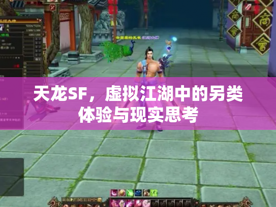 天龙SF，虚拟江湖中的另类体验与现实思考