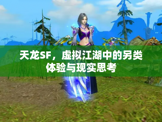 天龙SF，虚拟江湖中的另类体验与现实思考