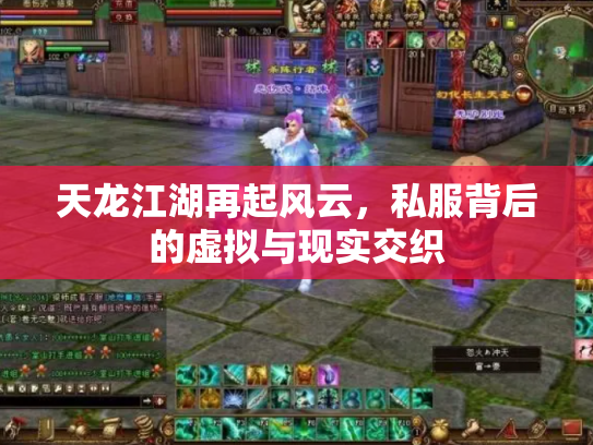 天龙江湖再起风云，私服背后的虚拟与现实交织