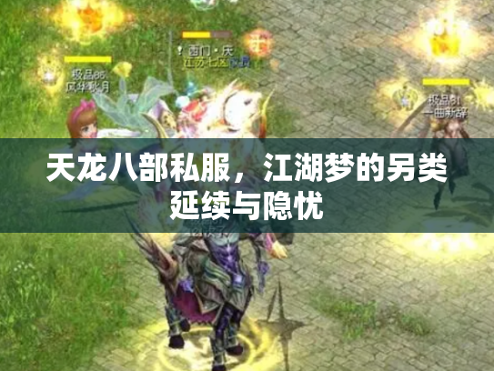 天龙八部私服，江湖梦的另类延续与隐忧