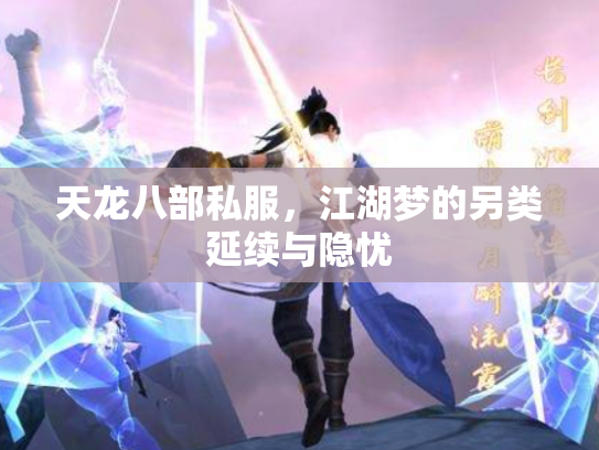 天龙八部私服，江湖梦的另类延续与隐忧