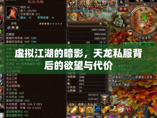 虚拟江湖的暗影，天龙私服背后的欲望与代价